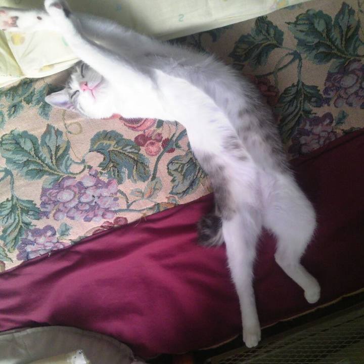 5e2f29cd 265b 4888 af9f 657a854f4078