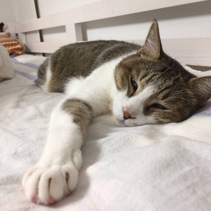 5e2f9d06 82e5 4e30 9a8b c54097e11263