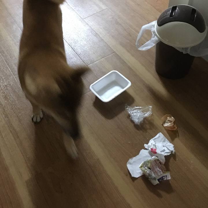 5e2fb333 b2dc 4b84 8116 26b18b10435c