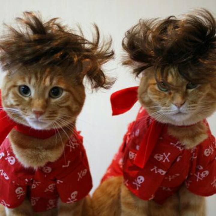 5e2ff729 09bb 47dc aa9c a3c42b63b4ae