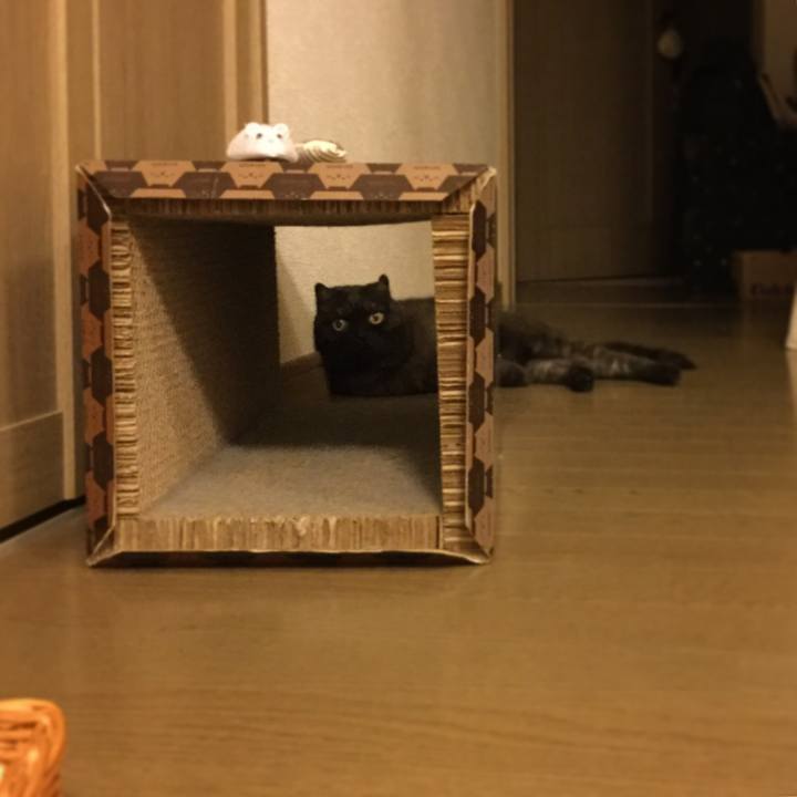 5e30a772 f9c2 4d7e ac38 0ab670a5742b