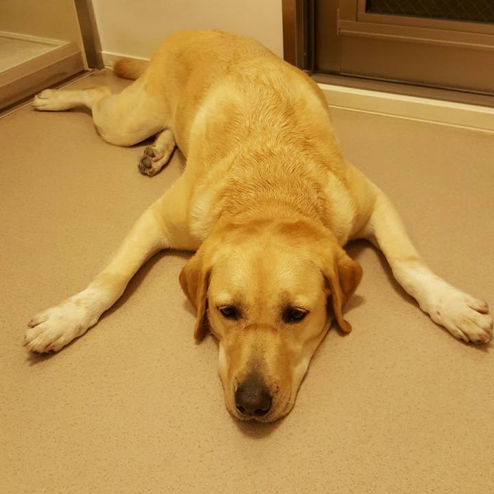 5e30b3f6 3b8b 400d af67 e8bf69e4c50d