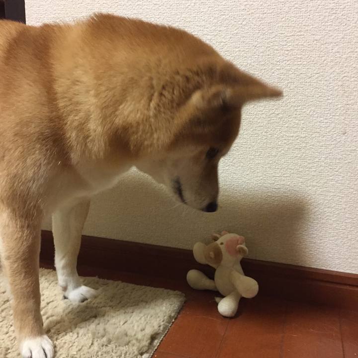 5e30ffe3 0ef2 4ea3 b4ae 1e97b55af539