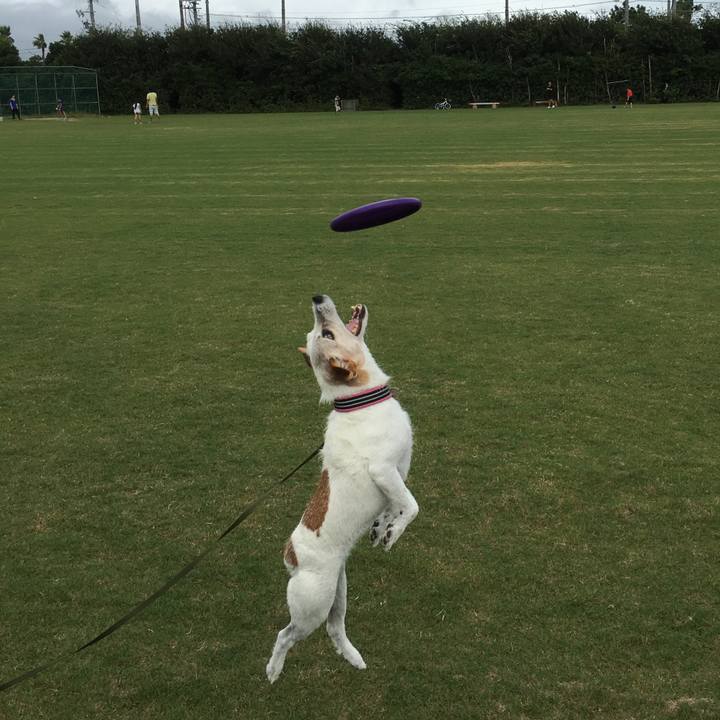 5e31fa17 5b93 4fde aeaa e7eb5981fc83