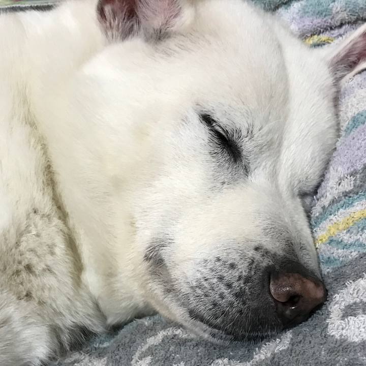 5e320adb f01b 4098 87d2 10b7a2e076dc