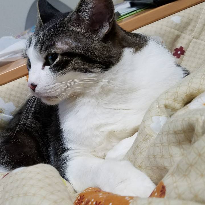 5e32274b cc09 404b 9fde 46aa6afc0027