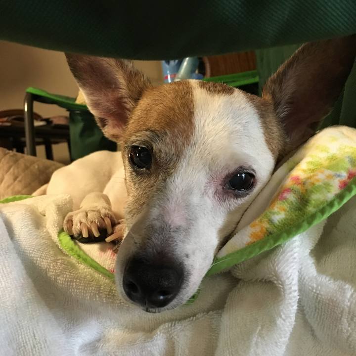 5e334c95 5f31 49ef b00a 6eb83dd238e4