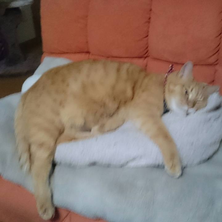 5e349be3 13f7 40c2 a5ec b48a0c697c3d