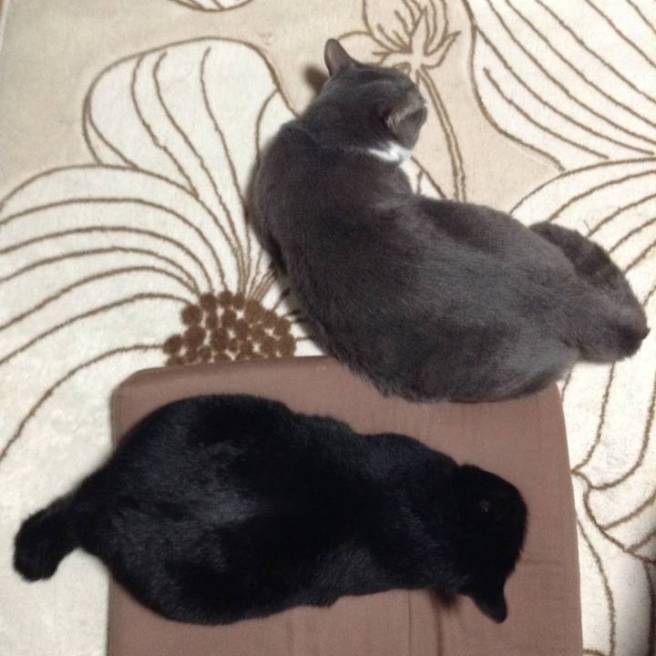 5e34a8dd 2a48 49a8 a4b1 e230d96fbdd0