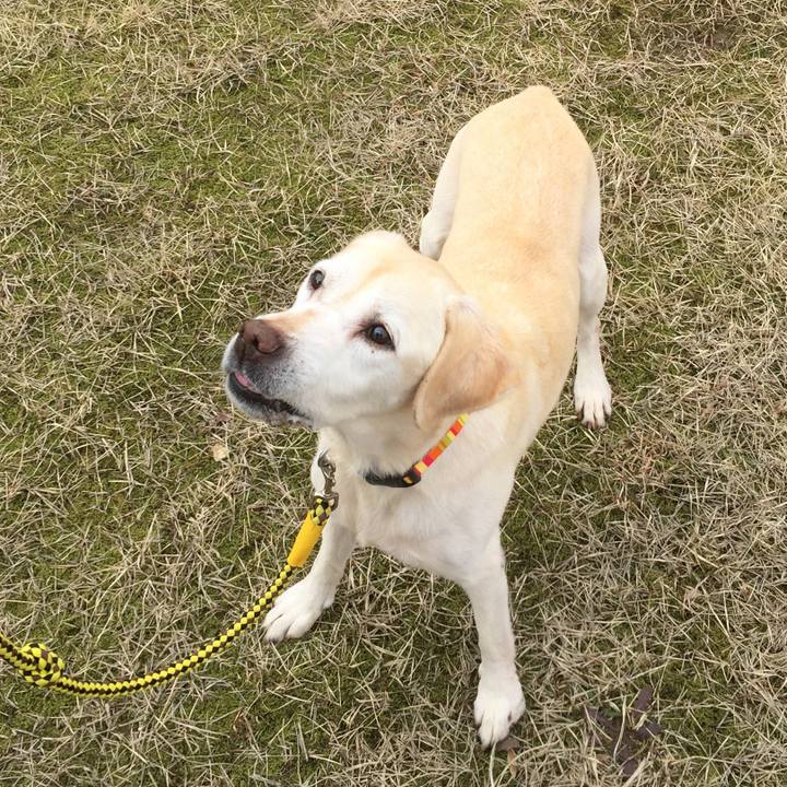 5e350029 23d0 41f0 8f90 93ca977ff2f0