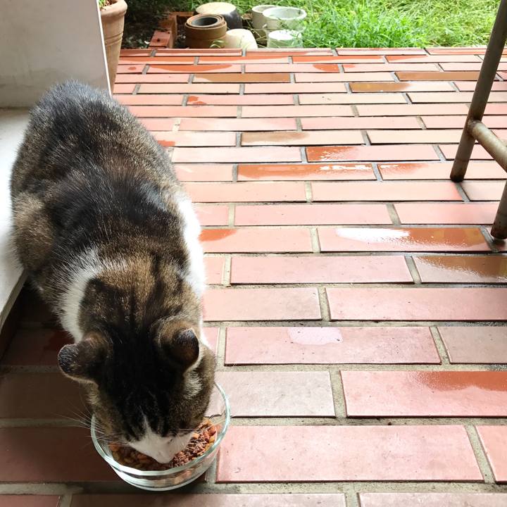 5e352e3b f99d 4140 9ba5 d4c866df2955