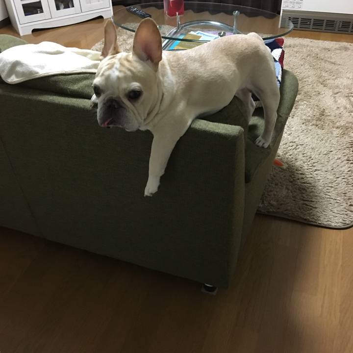 5e35389e 41aa 43ee 9743 897b439e9471