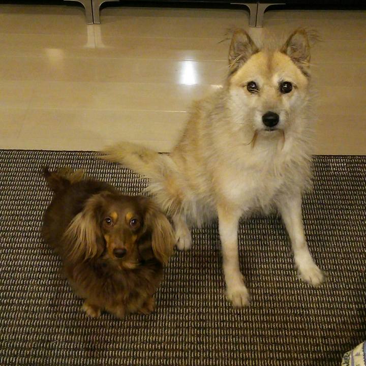 5e3585fd 56b3 4a4e 81a5 21cd73e25e7e