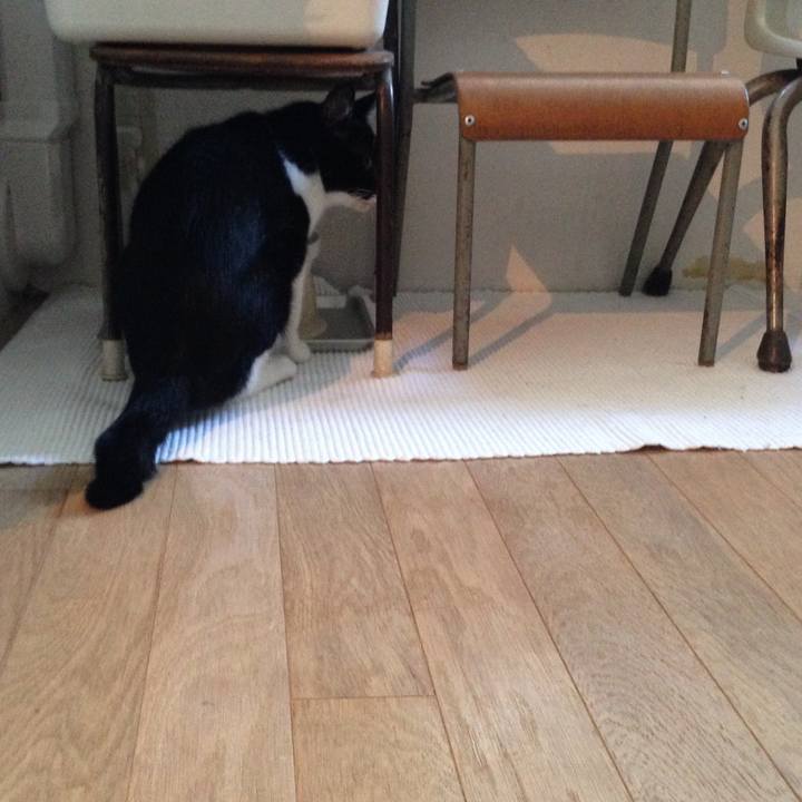 5e36115f a99f 4ea6 a8b8 455b1a690c4d