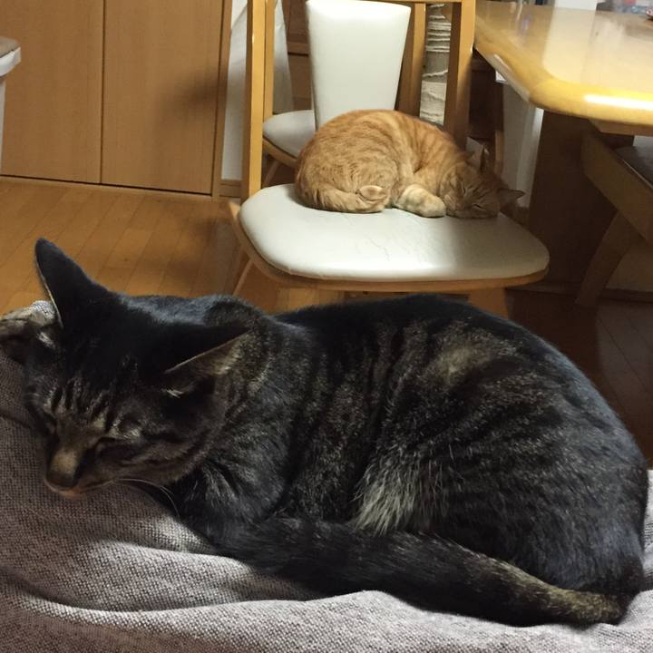 5e362744 96c5 44b2 82fa 182bb56e8048