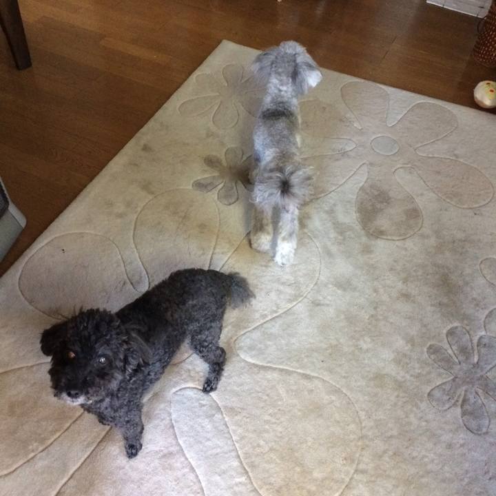 5e373ded 2d18 47e1 86d7 6a0e6c956463