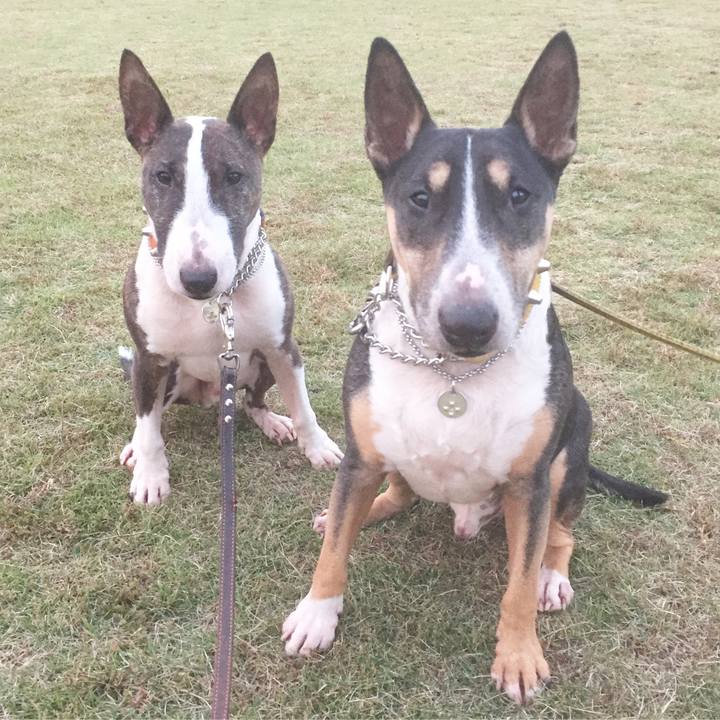 5e37a420 6c25 4a42 90f0 91de4c092567