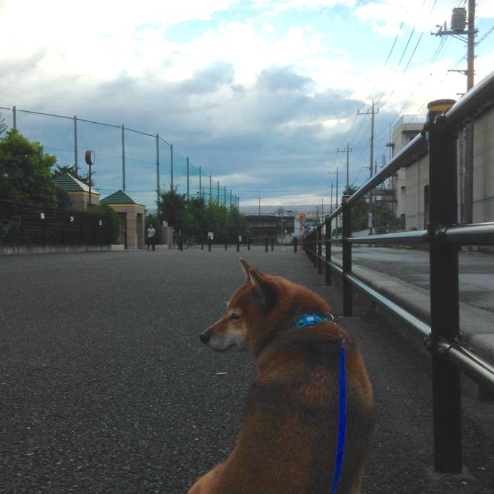 5e39c6b8 41a2 49dc 950e ab4d3de6acab