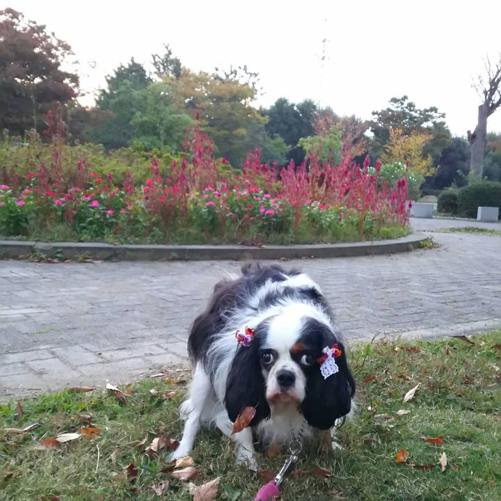 5e3a2a81 38f9 4db6 b402 8fe12907a66b