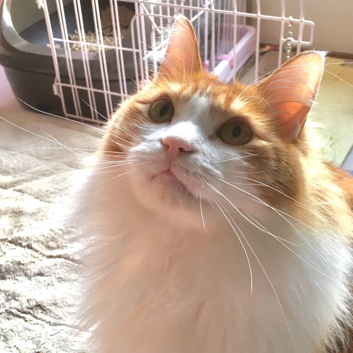 5e3a3293 e1d9 49e6 8c54 53a1e2c0ba23