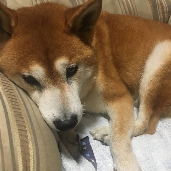 5e3a8ff2 38a9 4832 96bd ee54121b6d58