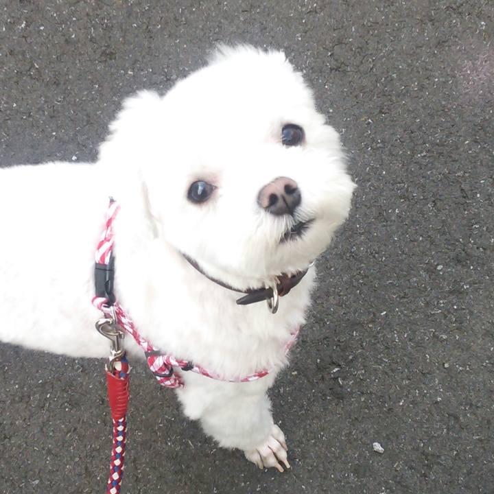 5e3b27f8 093c 4570 afae 0f6139163099