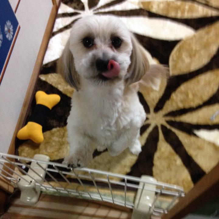 5e3bedce 4f94 4e6e ba98 5165a9d72ce8