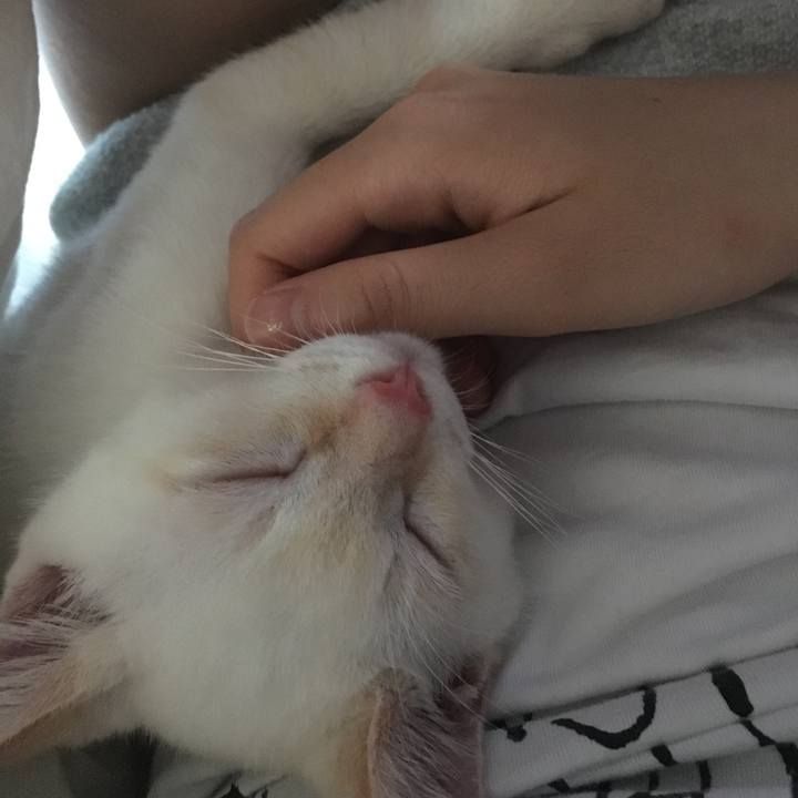 5e3bf32a 51dd 442d bbcb 558515dc2dac