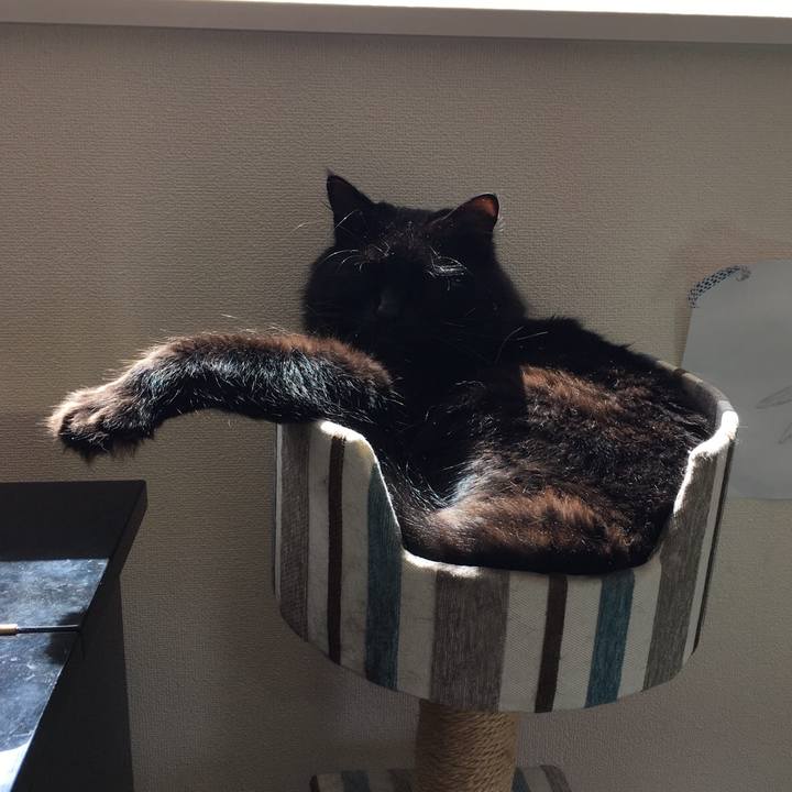 5e3c28d9 7167 44ab ac50 a10599934cb3