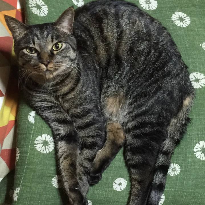 5e3c31af 0482 461b 9ea0 573647805fb9