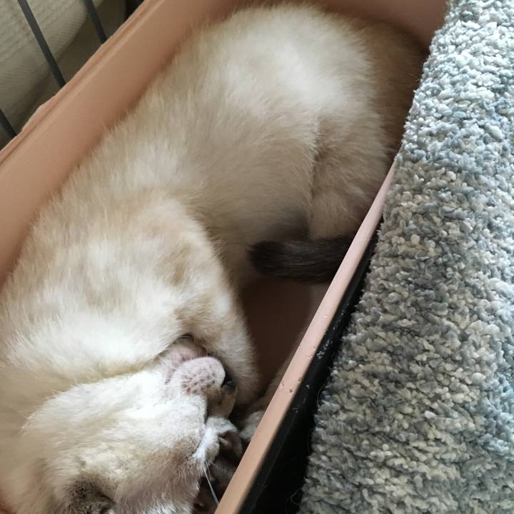 5e3c9d37 7e4b 4f6e 966d 693dcd7178ac