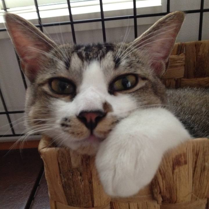 5e3caac1 9e36 4a15 ae08 5a968d590de6