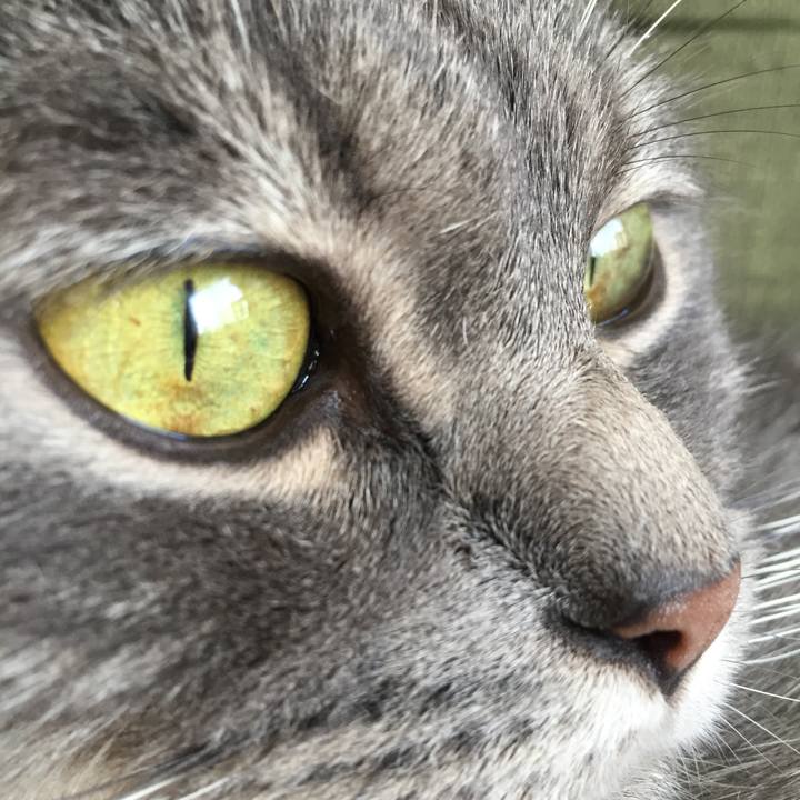 5e3d3c4a d960 4916 b5be bf17f6df0b31