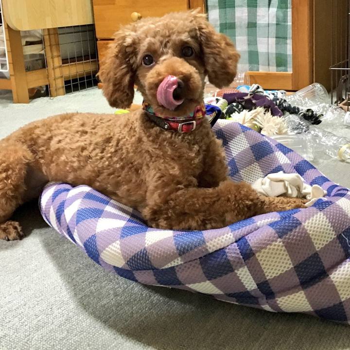 5e3e2ca6 7bf5 4950 ab7f 2b4aa844f9c3