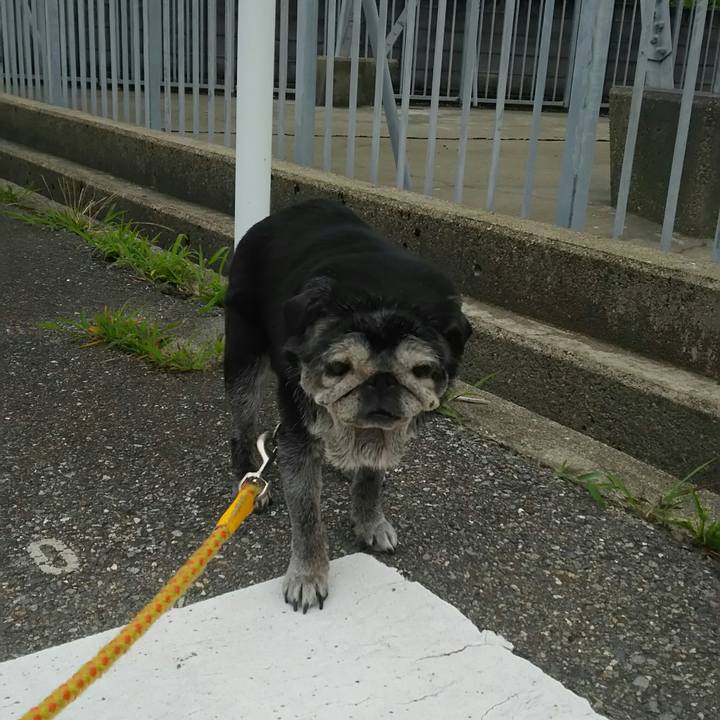 5e3eb6f6 2517 4b4e 80ba 2d5eb46a4957