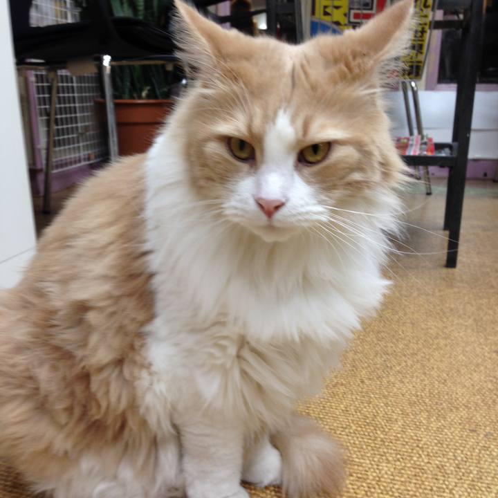 5e3f212e 53c6 4921 bdb4 462aac23bb00