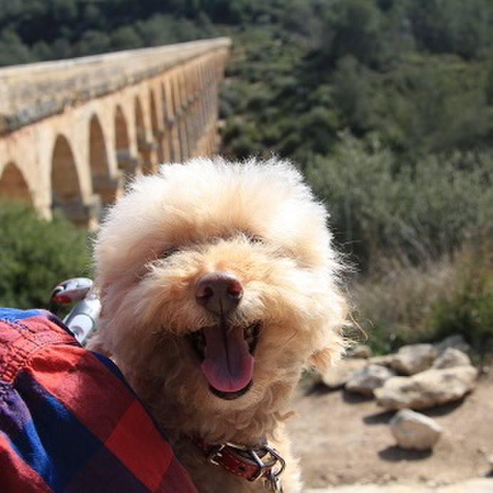 5e3f2a5c 387a 4e93 a7ef a2a3da35ebe5