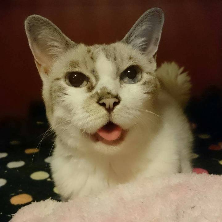 5e3f77af 6c73 44ce 8628 ce16a1ce0fc8