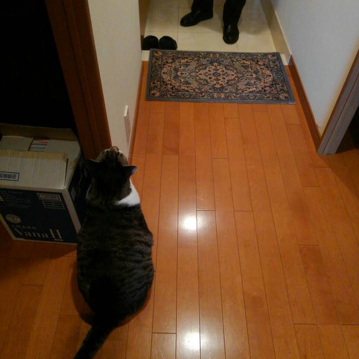 5e3ffc9f be0f 4b53 9f13 af9aca014667