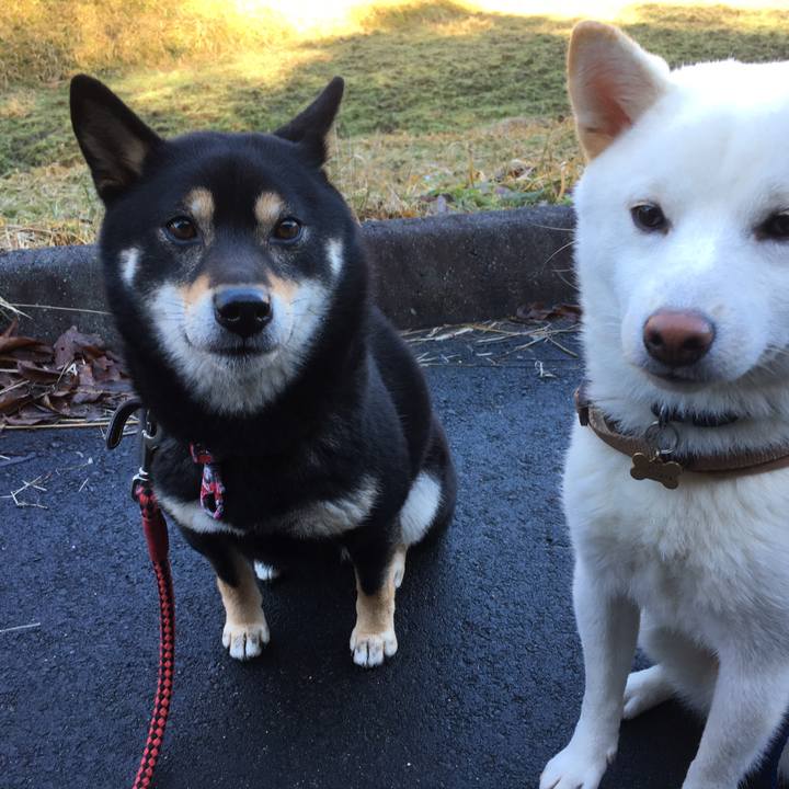 5e40b4ee 9dd5 4d8c aa14 7c2f01c6fa94