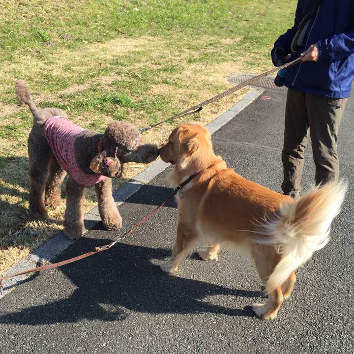 5e40eccc fea3 4c4e 8226 8b6a321f90b3