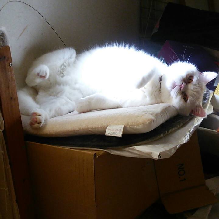 5e4191b9 f206 40e8 a964 cde097c4a792