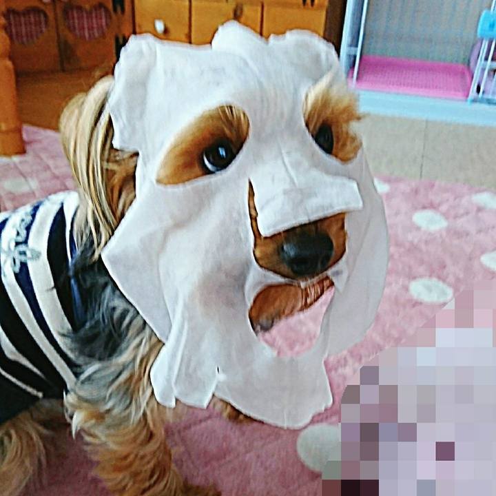 5e423af1 1922 4be2 8cad 6b837ef48f87