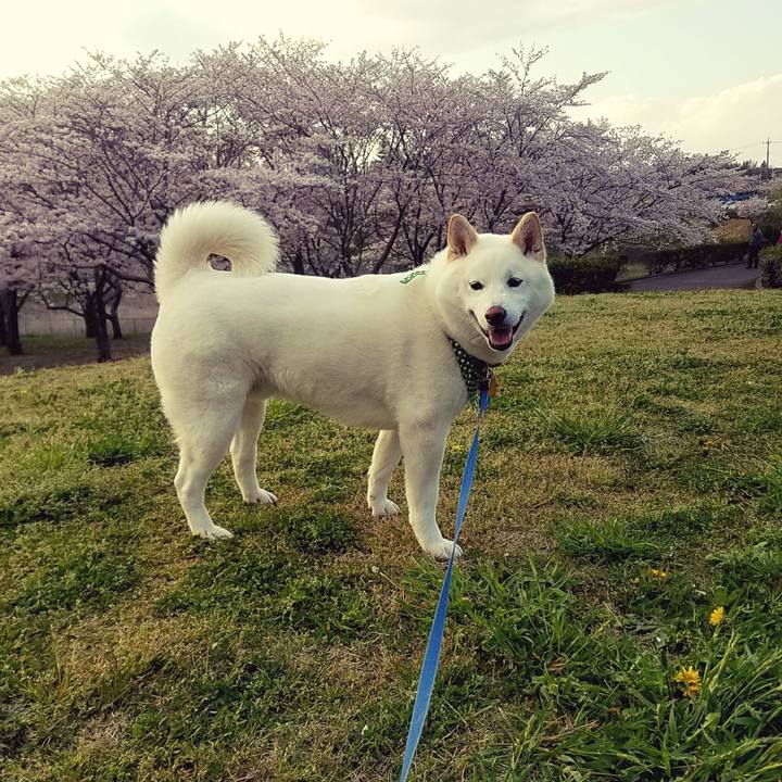 5e424232 f307 47d6 b3e1 3dff2eefeead