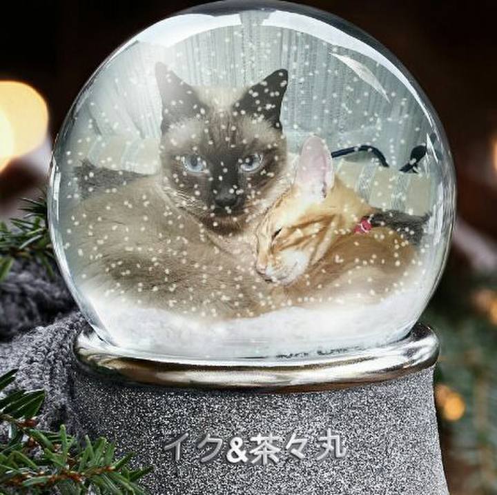 5e42c034 9be1 47ff a0c4 73b7e18a63b6