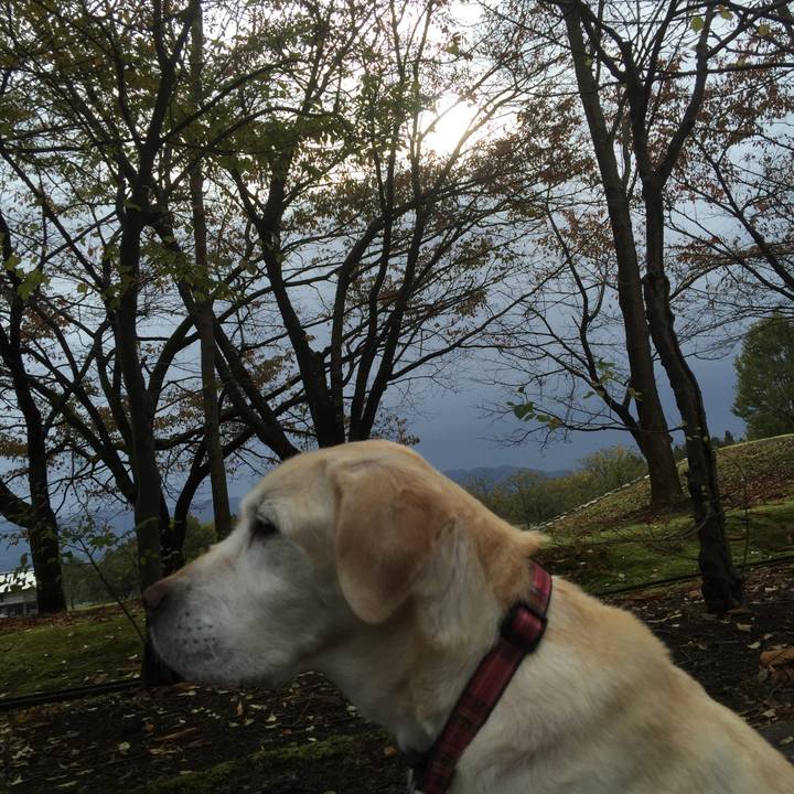 5e42c971 8816 4ada b5bb ae7ffb1d6dd0