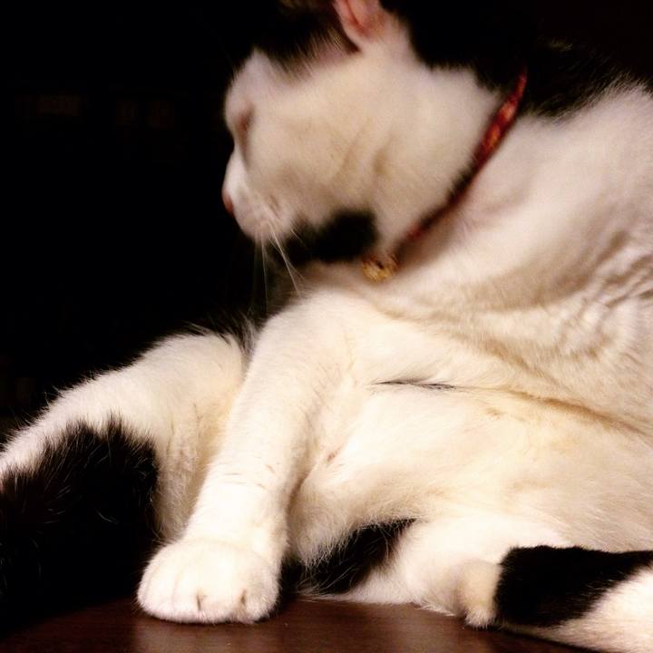 5e438cbf aa13 4804 88b4 31cf90961f5f