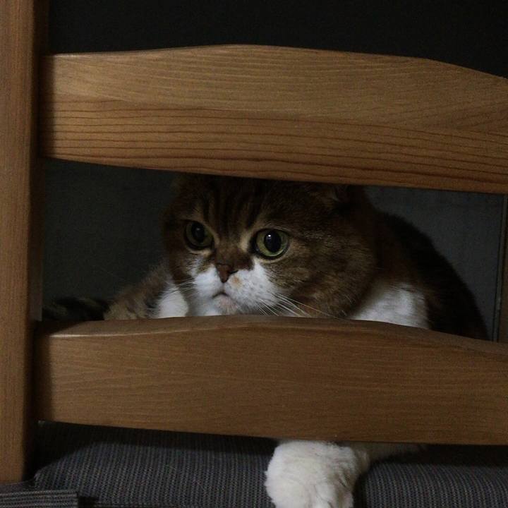 5e443394 b5ed 4b9f b1f0 aa79a0d34176