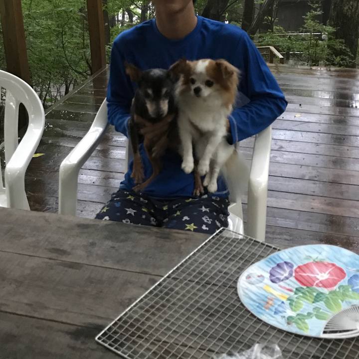 5e456135 8b61 4128 8d31 4b6027338894