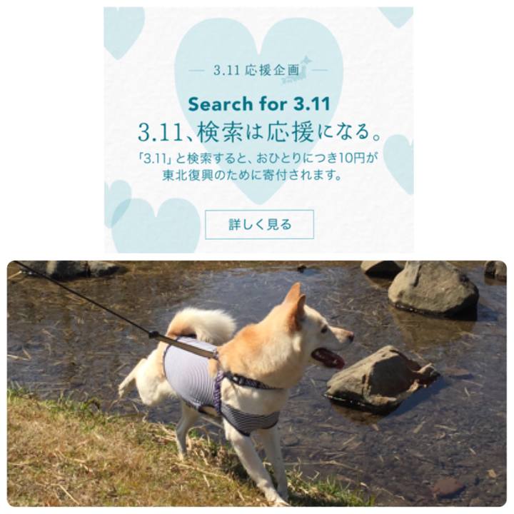 5e45e8ed 5380 455a 82c9 5eb9e81a8346